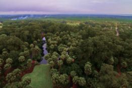 Sunny Floridian Land Up for Grabs, in Polk County!