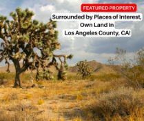 Surrounded by Places of Interest, Own Land in Los Angeles County, CA!