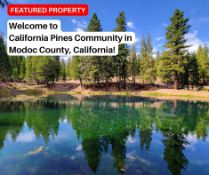 Welcome to California Pines Community in Modoc County, California!