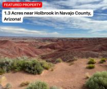 Invest on 1.3 Acres Near Holbrook, Arizona!
