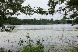 Osceola County, Michigan: Buildable Lot Near the Lake!