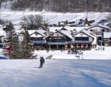 Own Land Minutes From Michigan's Alpine Valley Ski Resort!