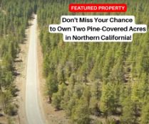 Don't Miss Your Chance to Own Two Pine-Covered Acres in Northern California!