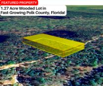1.27 Acre Wooded Lot in Fast-Growing Polk County, Florida!
