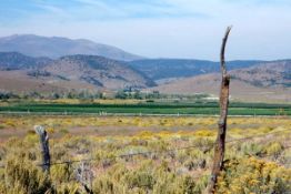 Nearly 36 Acres in Lander County, Nevada!