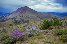Scenic Mountainscapes in Lander County, Nevada!