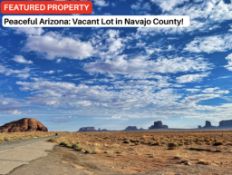 Peaceful Desert Land in Navajo County, Arizona!