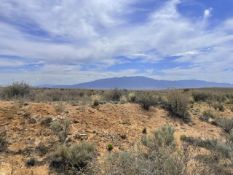 Half-Acre Investment in Valencia, New Mexico!