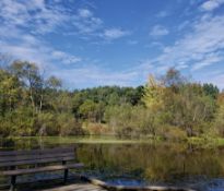 Incredible Outdoor Activities and Scenic Beauty in Arenac County, Michigan!