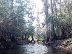 Warm Retreat by Peace River in Charlotte County, FL!