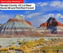 Navajo County, AZ Lot Near Route 66 and Petrified Forest!