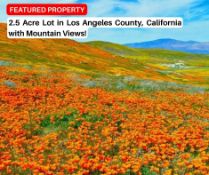 2.5 Acre Outdoor Retreat in Los Angeles County, California!