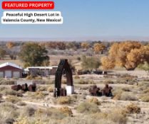 Peaceful High Desert Lot in Valencia County, New Mexico!