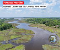 Wooded Corner Lot in Cape May County, New Jersey!