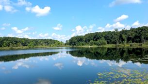 Affordable Land in Livingston County, Michigan!