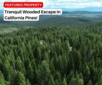 Tranquil Wooded Escape in California Pines!
