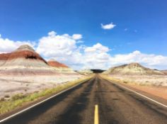 Arizona Land Near Petrified Forest Park in Navajo County!