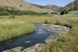 Land in Lander County, Nevada Near Kingston Canyon!