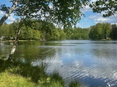 Live Just Steps from Miramichi Lake in Osceola County, Michigan!