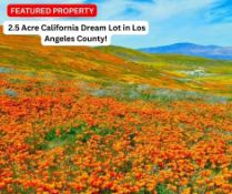 2.5 Acre California Dream Lot in Los Angeles County!