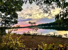 Buildable, Wooded Arkansas Lot Near Lake Aztec!