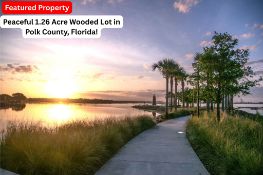 1.26 Acre Wooded Lot in Polk County, Florida!
