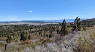 Live or Camp Among the Huge Pines in Peaceful California Pines, Modoc County, California!