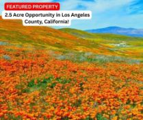 2.5 Acre Opportunity in Los Angeles County, California!