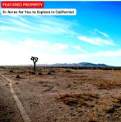 5+ Acres for You to Explore in California!