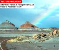 Affordable Parcel in Navajo County, AZ Close to Petrified Forest!