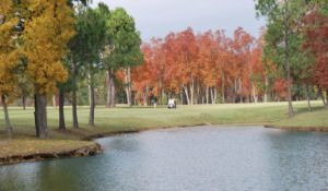 Explore Cherokee Village in Fulton County, Arkansas!