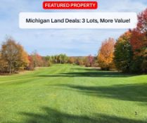 Michigan Land Deals: 3 Lots, More Value!