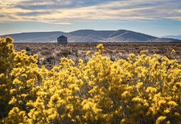 Surrounded by Places of Interest, Own this 2.56-Acre California Lot!