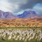 Experience the Ultimate Outdoor Adventure in Southern California!