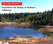 Experience the Beauty of Northern California!