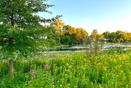 Near Brendel Lake in Milford, Michigan!