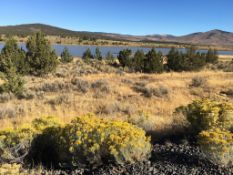 Buildable California Pines Corner Property in Modoc County!