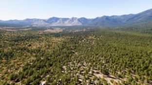 Capitalize on Growth in Vibrant Valencia County, NM!