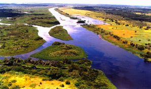 Secluded 1.25-Acre Lot in Polk County, Florida!