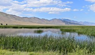 FINANCE: Affordable Elko NV Lot Near Ruby Mountains! YOUR BID IS YOUR MONTHLY PAYMENT!