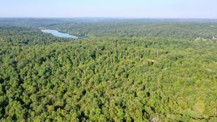 FINANCE: Homesite in Ozark Acres, Arkansas! YOUR BID IS YOUR MONTHLY PAYMENT!