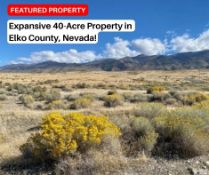 Expansive 40-Acre Property in Elko County, Nevada!