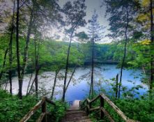 Michigan Lot Between the Lake & the Forest!