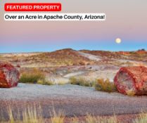 Over an Acre in Apache County, Arizona!