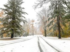 FINANCE This Michigan Lot with Seasonal Scenery! YOUR BID IS YOUR MONTHLY PAYMENT!