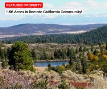 Over an Acre Corner Lot in California Pines!