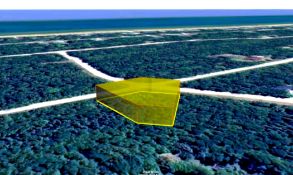 Buildable Michigan Half-Acre Corner Lot Near Great Lake Huron!
