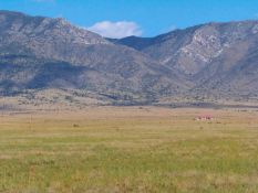 Affordable 1.51 Acres in Valencia County, New Mexico!