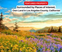 Surrounded by Places of Interest, Own Land in Los Angeles County, California!