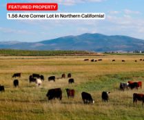 Over an Acre Corner Lot in California Pines!